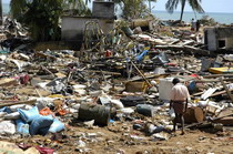 землетрясение в новой гвинее привело к разрушениям и пожарам в индонезийской провинции