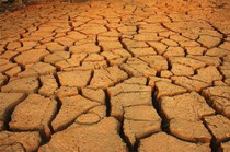 засуха в мали (африка) в 1970 – 1974 гг