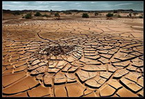 засуха в сахеле (африка) в 1968-1973 гг
